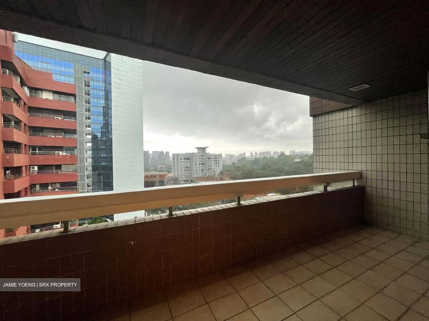 The Cairnhill (D9), Condominium #616600361